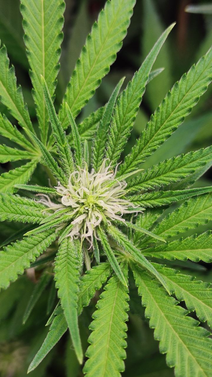 1 — копия (4).jpg