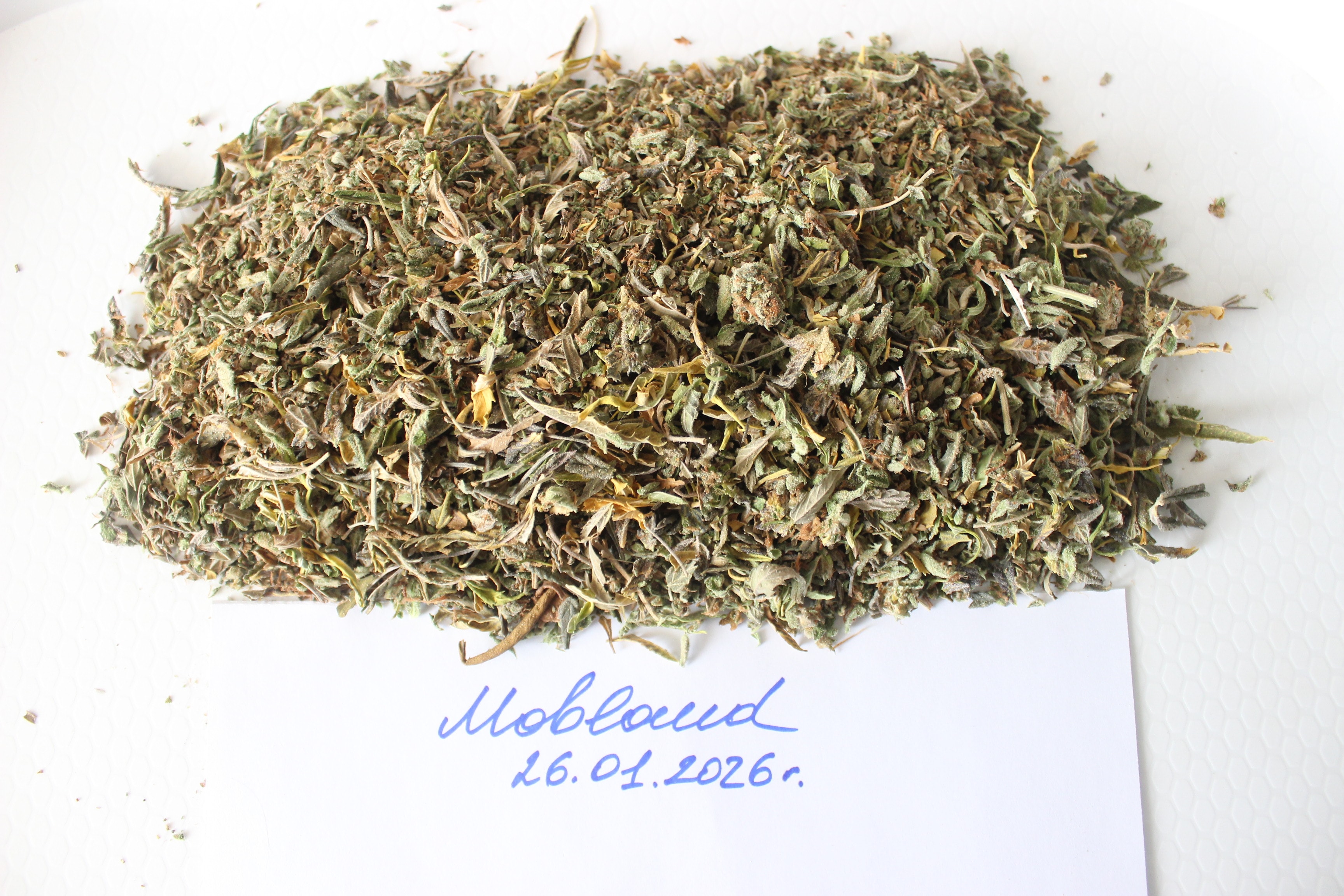 13 — копия.jpg