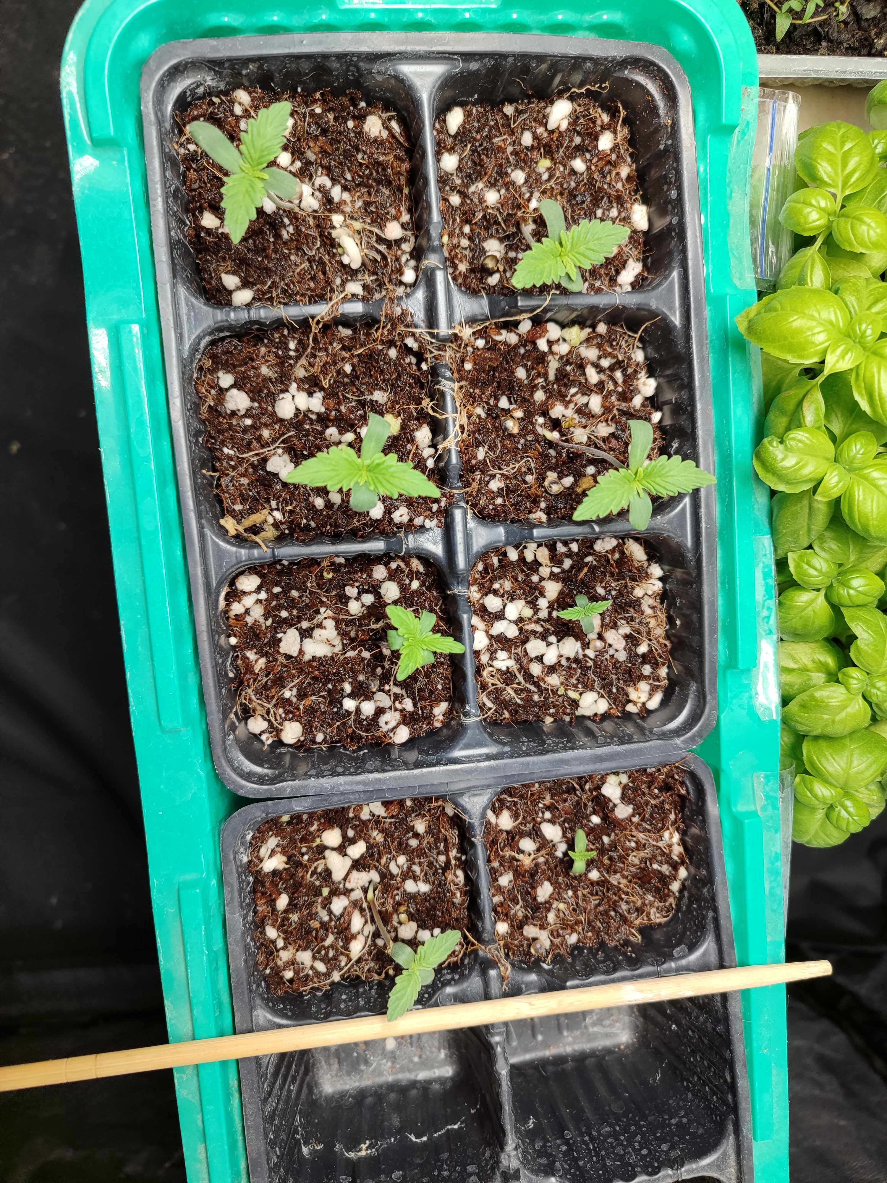 2025-03-11 153243.jpg