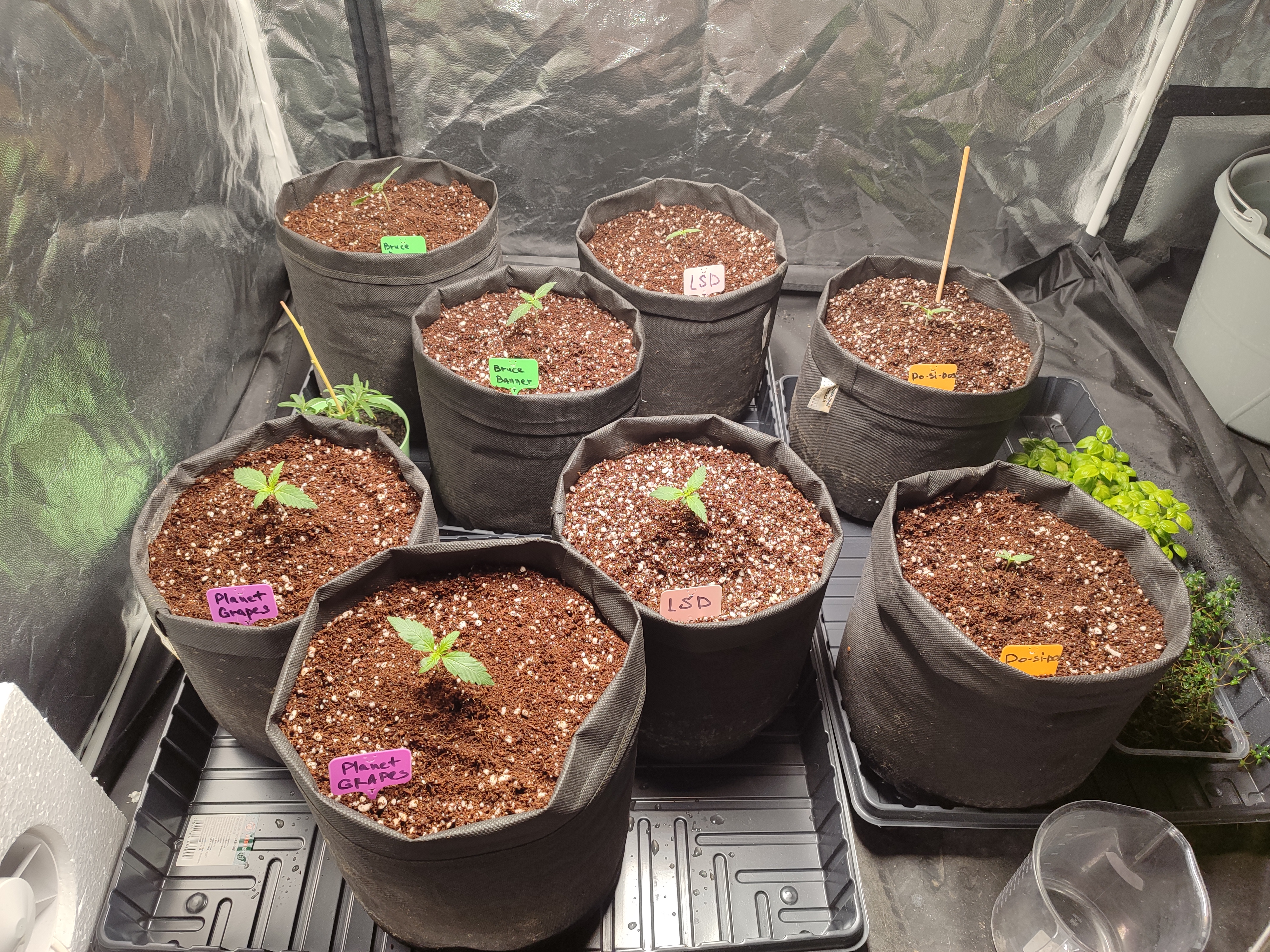 2025-03-15 105705.jpg