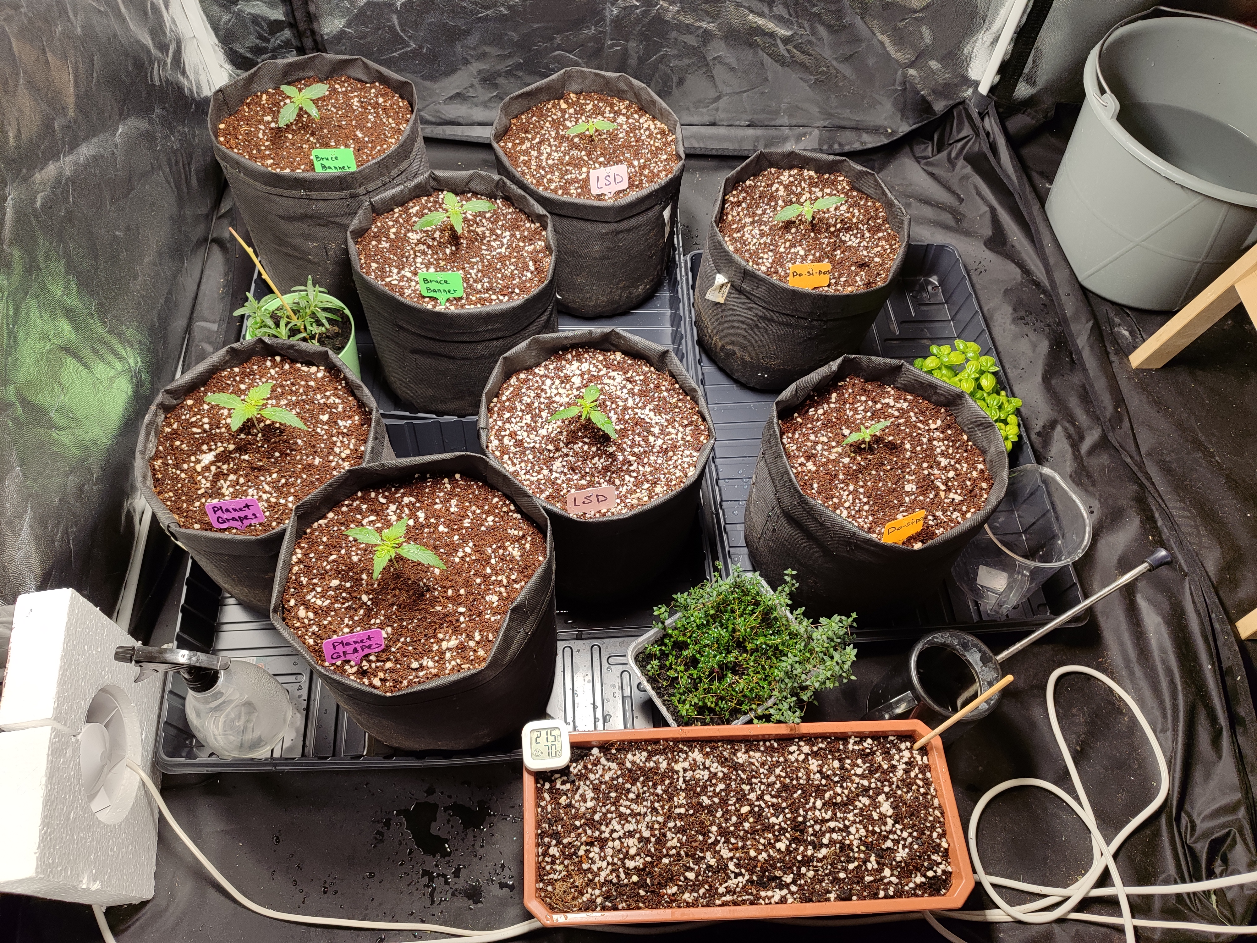 2025-03-17 092421.jpg