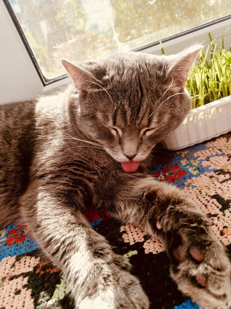 маша спит.jpg