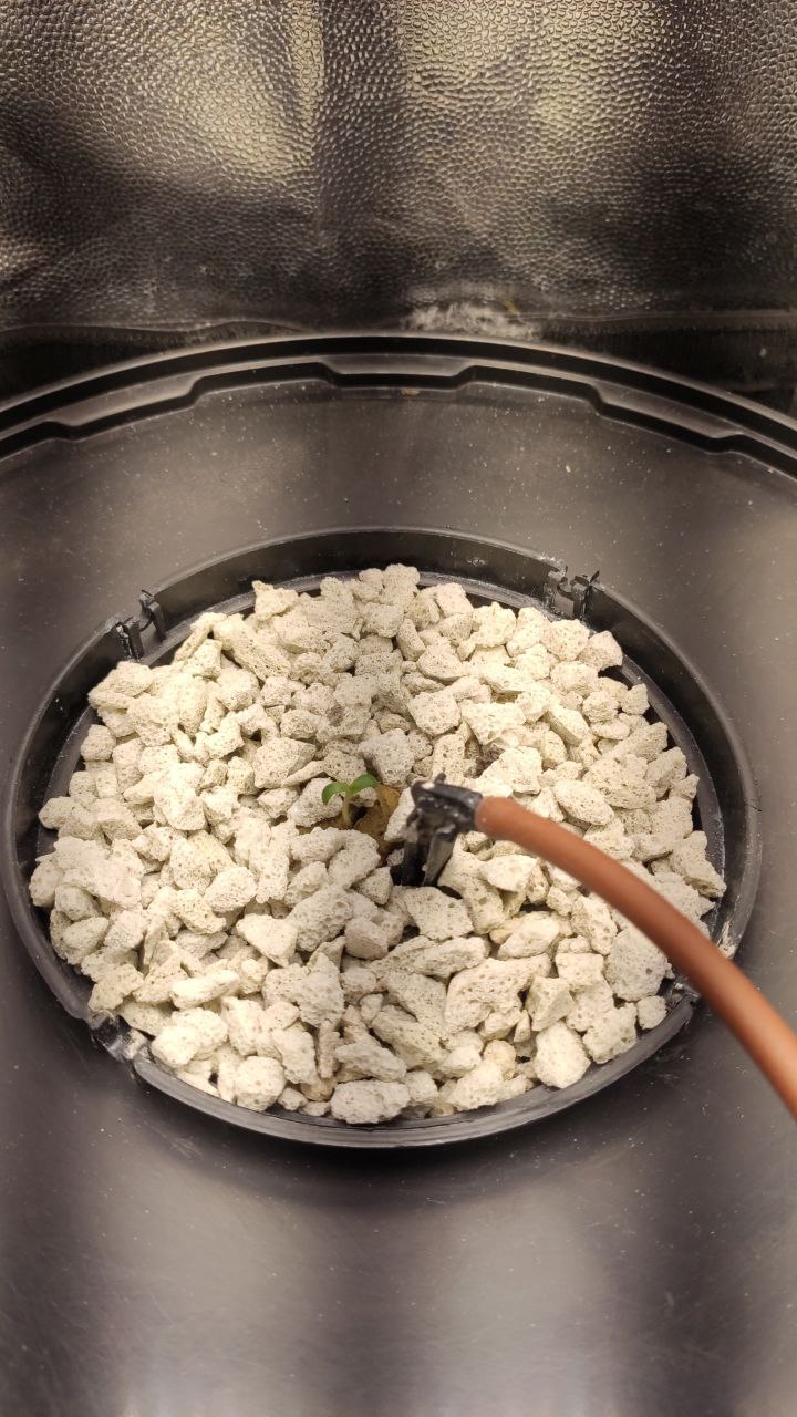 photo_2022-05-17 10.04.18.jpeg