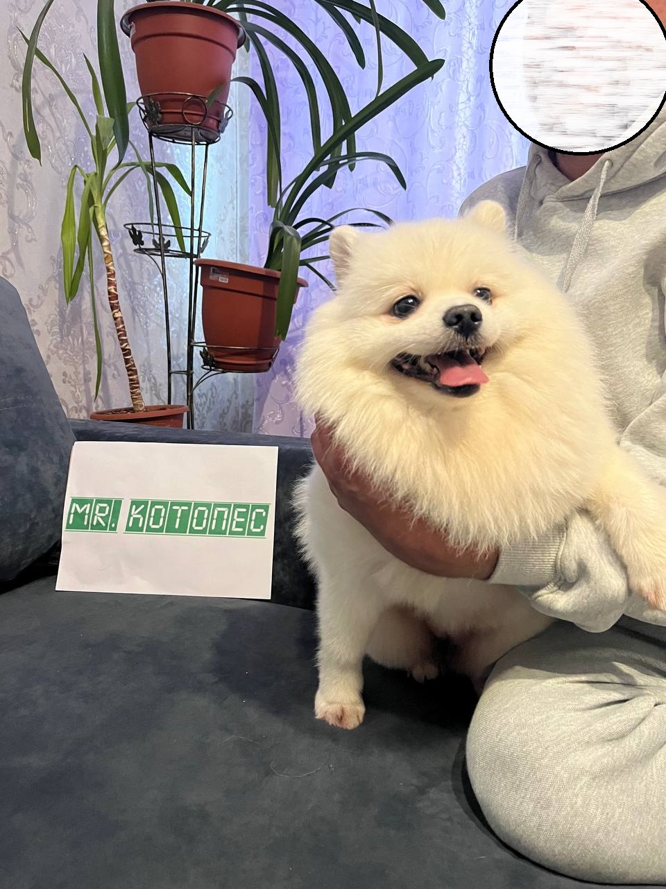 photo_2025-06-25_19-55-42 (2).jpg