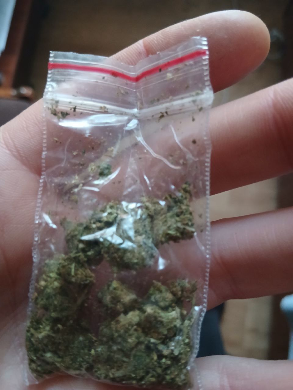 photo_2025-10-26_10-53-09 (2).jpg