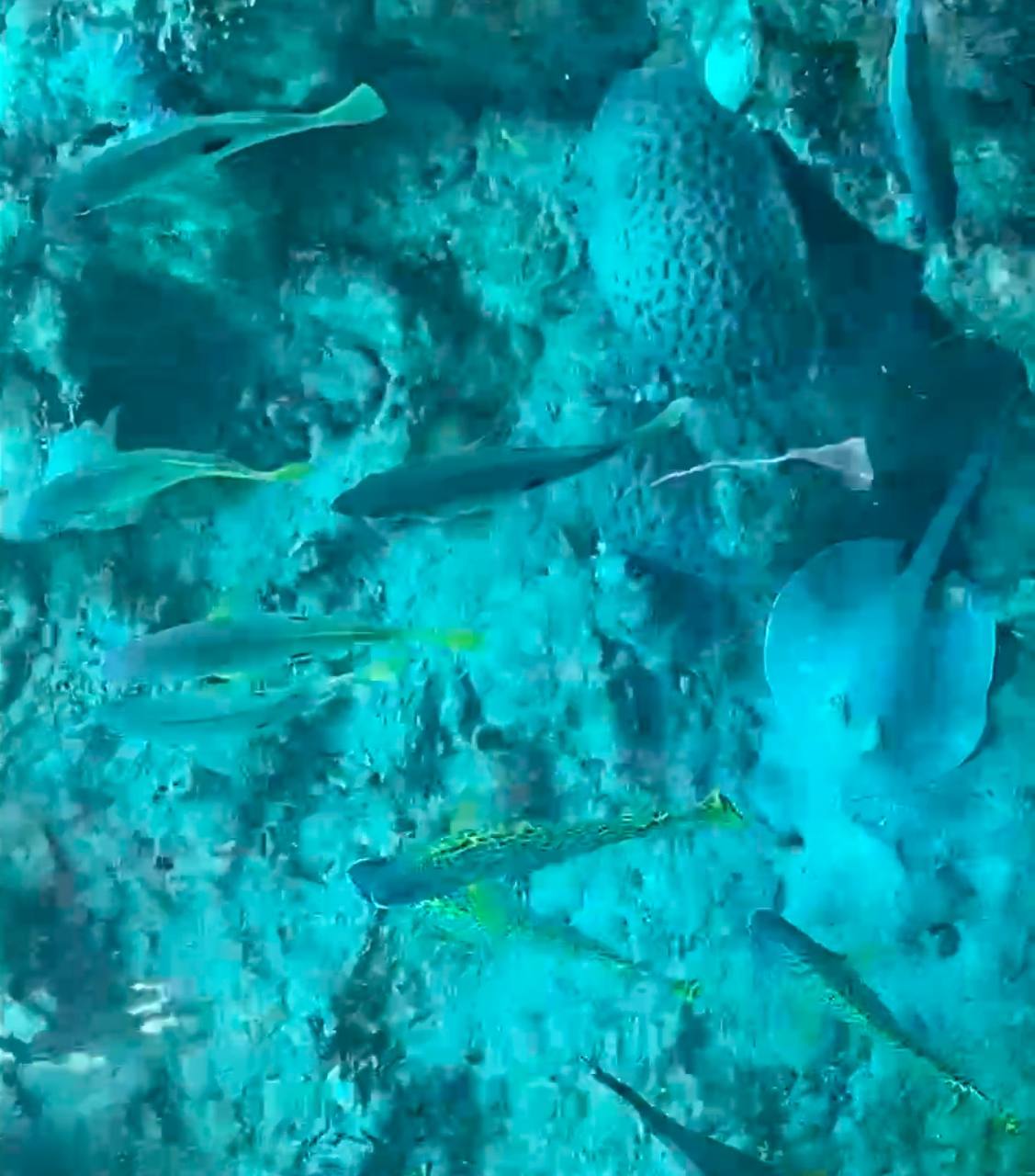 photo_2025-12-12_02-13-14 (2).jpg