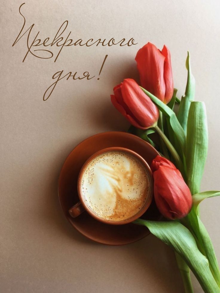 Прекрасного дня! Открытки.jpeg