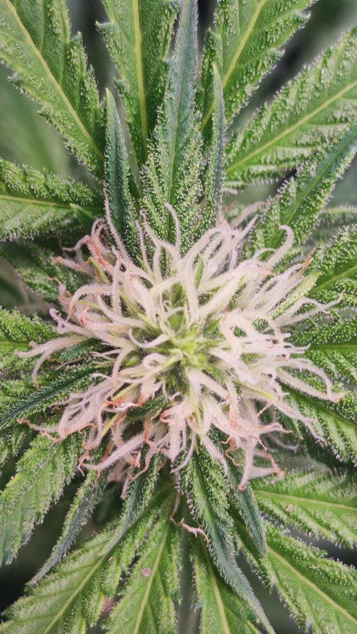 rs11 — копия.jpg