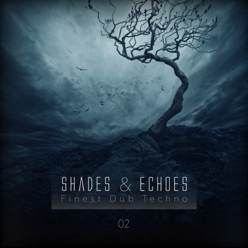 Shades & Echoes - Finest Dub Techno, Vol. 2 1000x1000.jpg