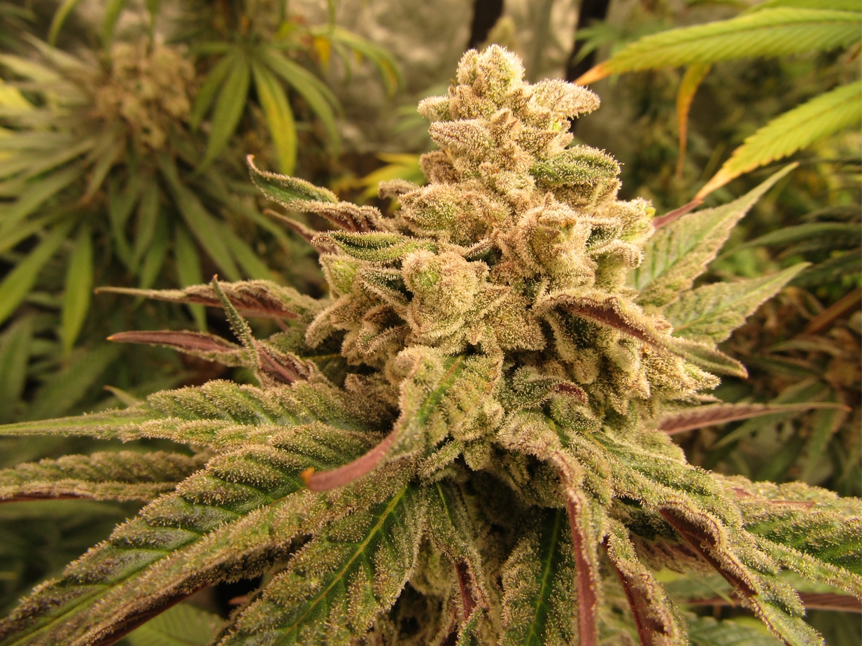 Скриншот 11-04-2022 225857.jpg