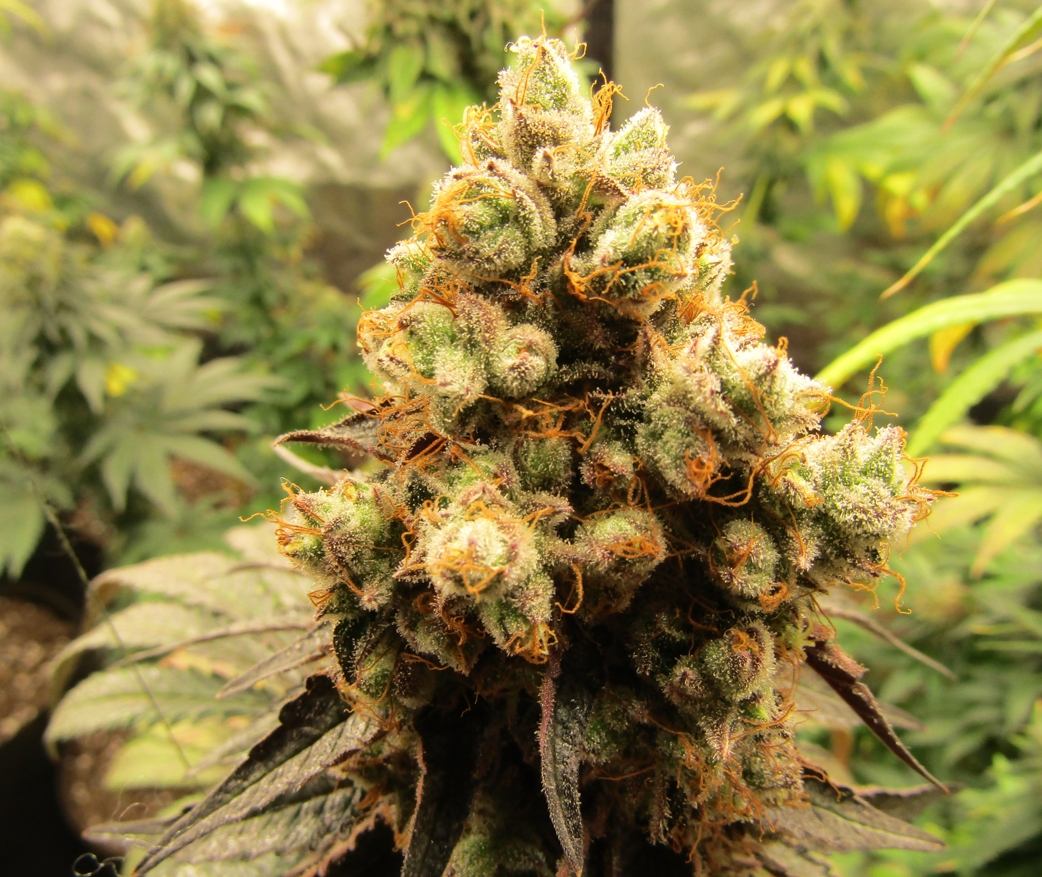 Скриншот 11-04-2022 225936.jpg