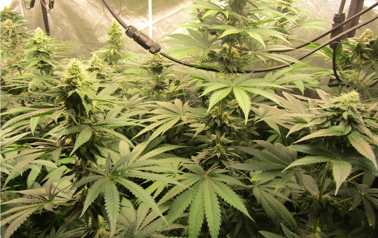 Скриншот 11-04-2022 230050.jpg