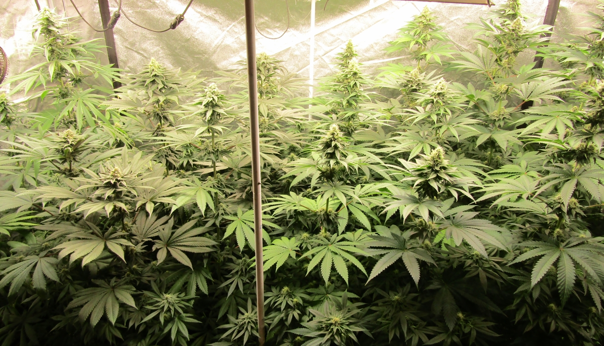 Скриншот 11-04-2022 230121.jpg