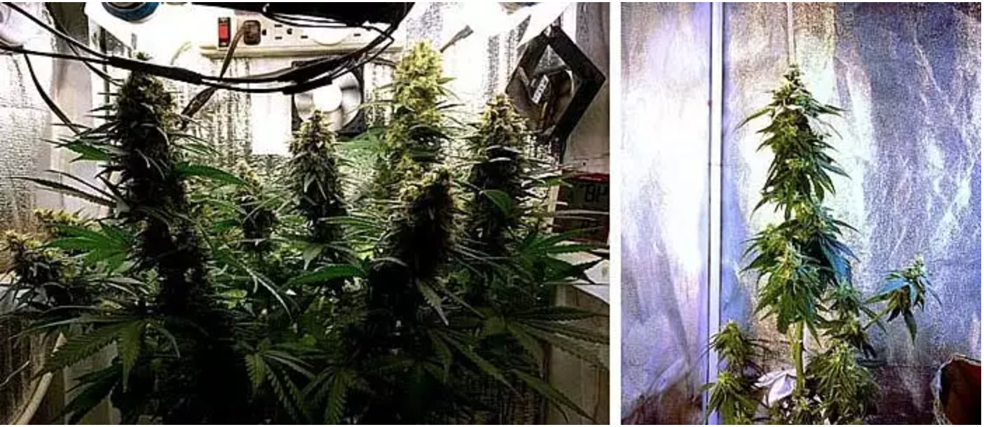 Снимок экрана 2023-03-13 в 21.03.18.png