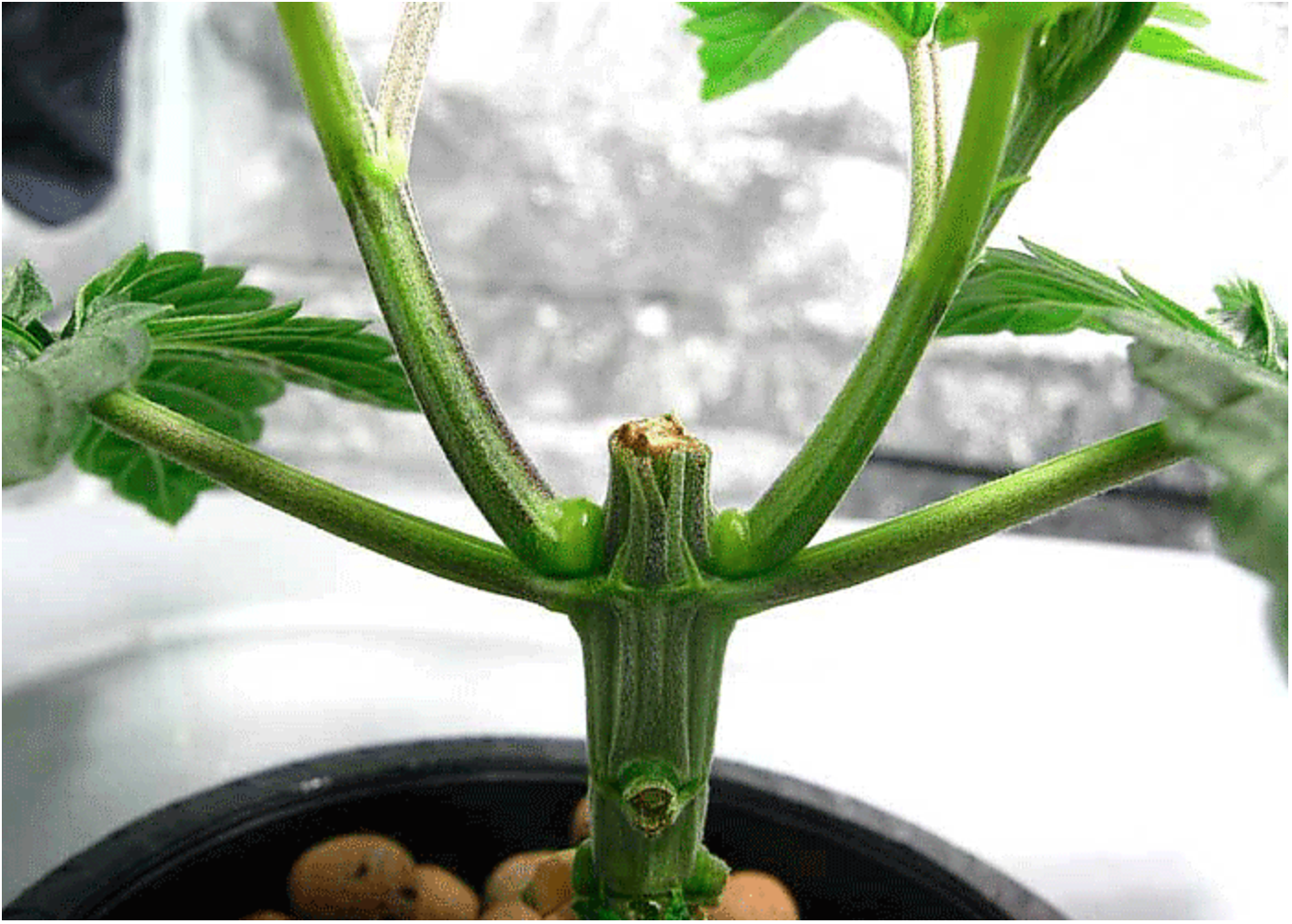 Снимок экрана 2023-03-13 в 21.13.21.png