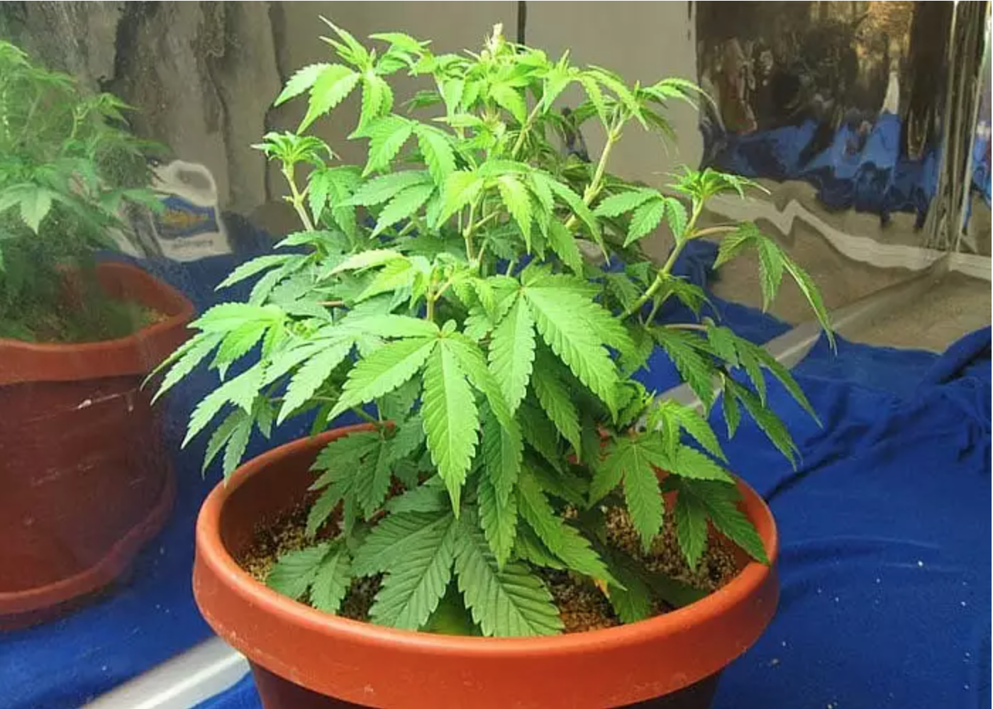 Снимок экрана 2023-03-13 в 21.16.30.png