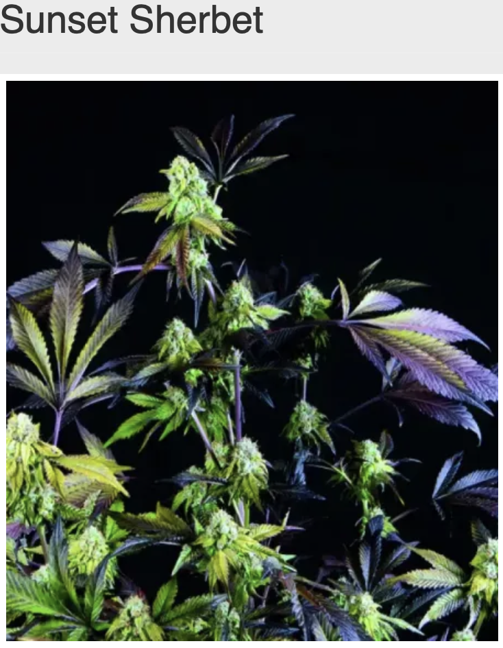 Снимок экрана 2025-01-11 в 22.07.03.png