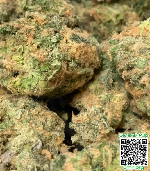 Снимок экрана_2026-01-27_15-58-26.png