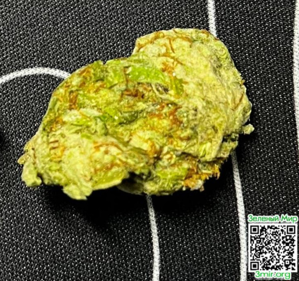 Снимок экрана_2026-01-28_21-01-23.png