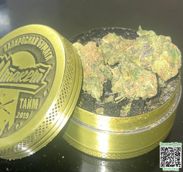 Снимок экрана_2026-02-13_22-46-01.png