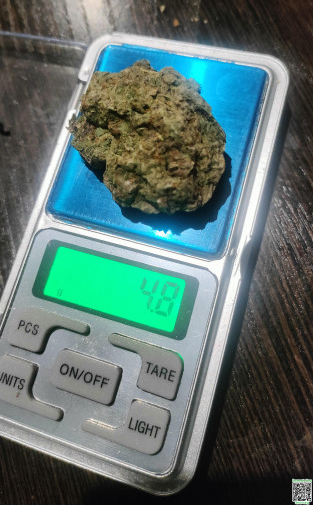 Снимок экрана_2026-02-18_17-03-38.png