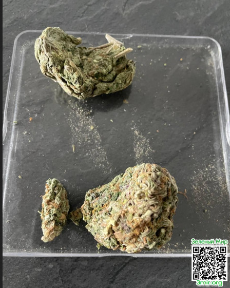 Снимок экрана_2026-03-06_19-11-31.png