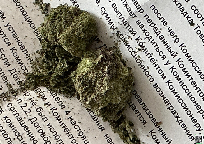 Снимок экрана_2026-03-12_20-42-20.png