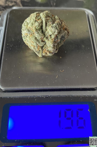 Снимок экрана_2026-03-24_14-58-49.png