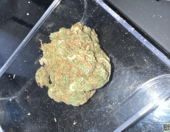 Снимок экрана_2026-03-25_14-25-58.png