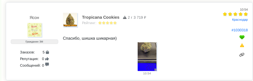 Снимок экрана_2026-03-26_08-30-11.png