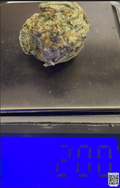 Снимок экрана_2026-03-26_08-30-23.png