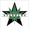 Starbuds12