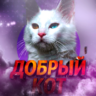 Добрый Кот