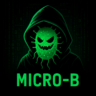 Micro-B