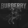 lBURBERRYl